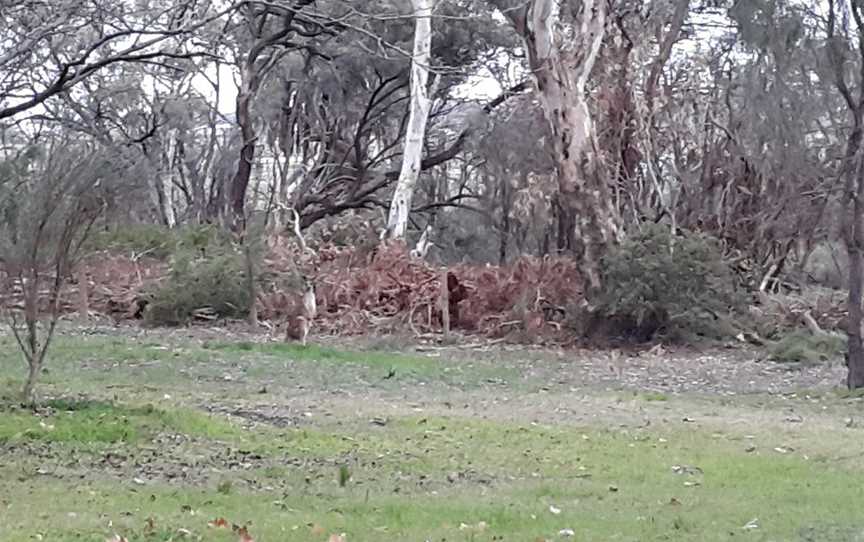 Lake Hawthorn, Mildura, VIC