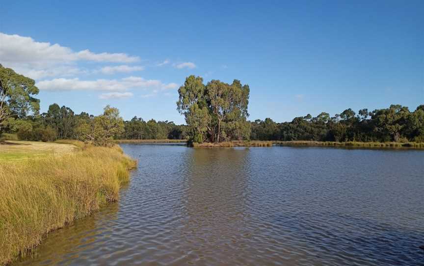 Lakewood Nature Reserve, Knoxfield, VIC