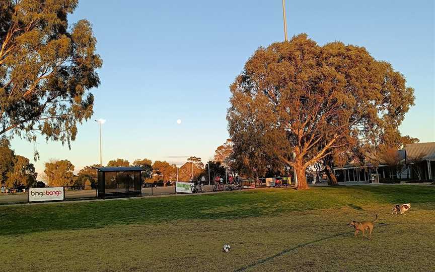 Walter Galt Reserve, Parkdale, VIC