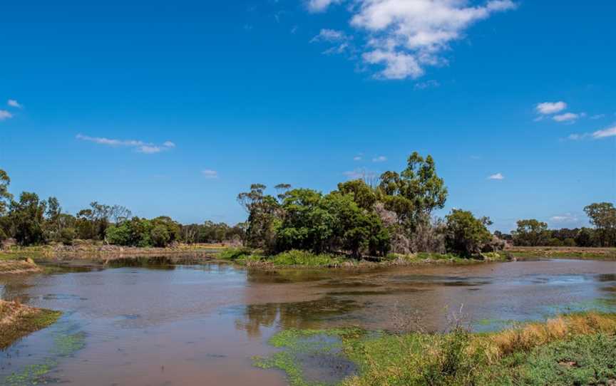 Waterloo Plains Environmental Park, Wandoan, QLD