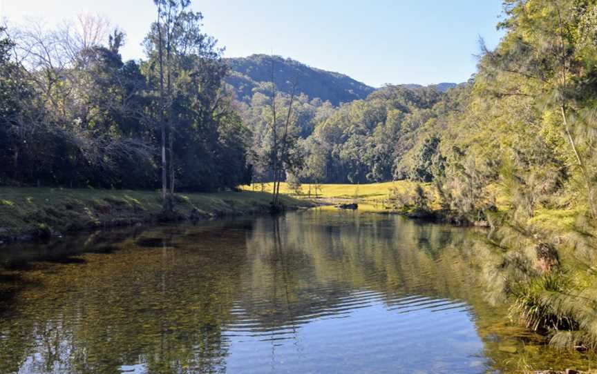 Bellinger River National Park, Dorrigo, NSW