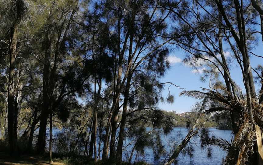 Berry Reserve, Narrabeen, NSW