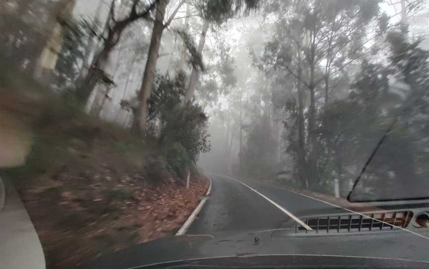 Cooinda Gardens, Mount Macedon, VIC