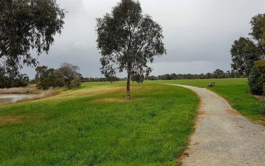 Dandenong Wetlands, Dandenong, VIC