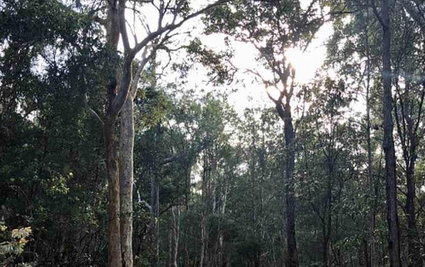 Karawatha Forest Walk, Brisbane, QLD