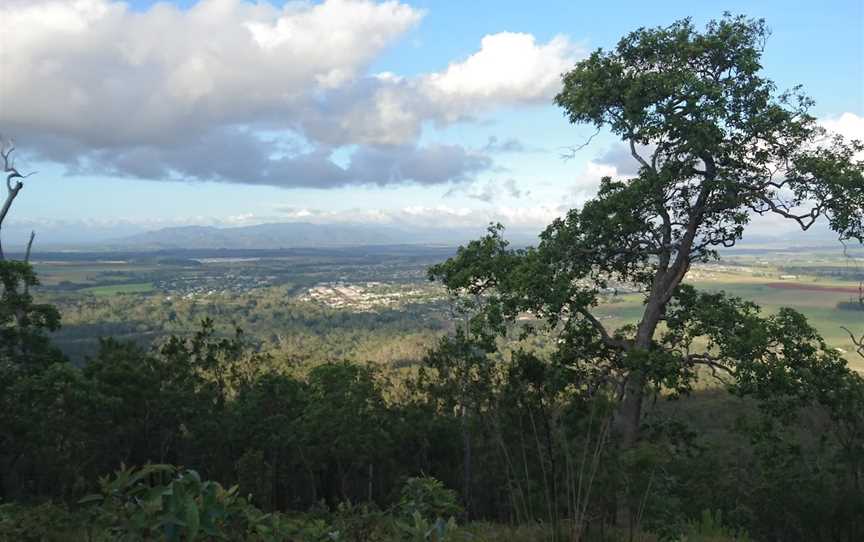 Wongabel State Forest, Atherton, QLD