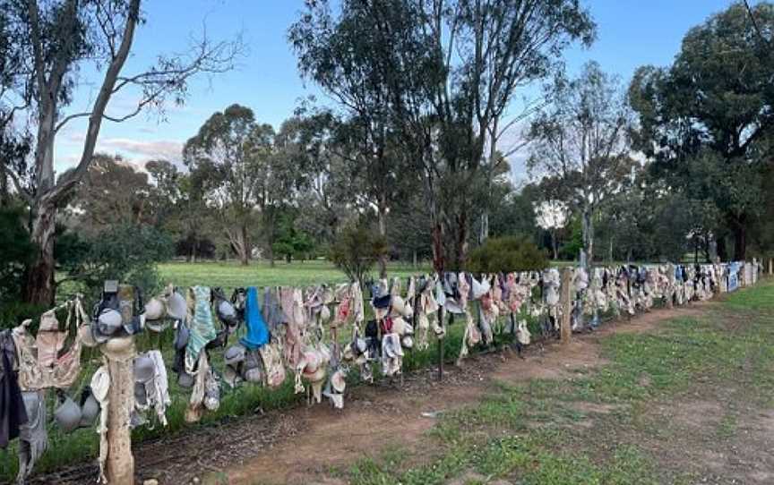 Bra Fence, Mathoura, NSW