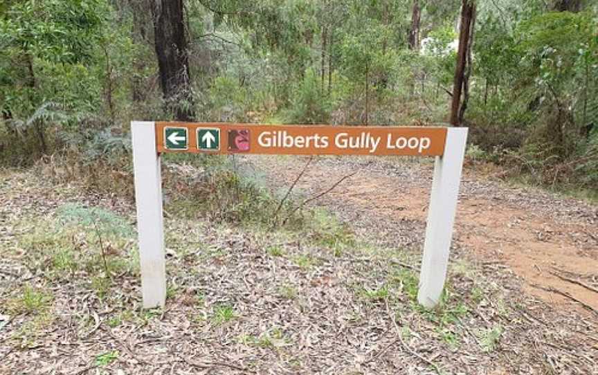 Gilbert's Gully Track, Marysville, VIC