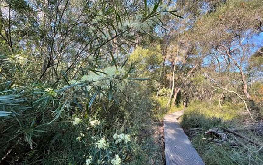 Gulgadya Muru Aboriginal Self-guided Walk, Manly Vale, NSW