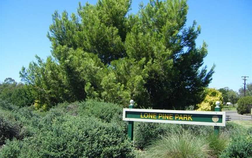 Lone Pine Park, Cowra, NSW