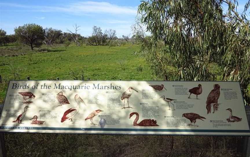Macquarie Marshes Bird Viewing Platform, Quambone, NSW