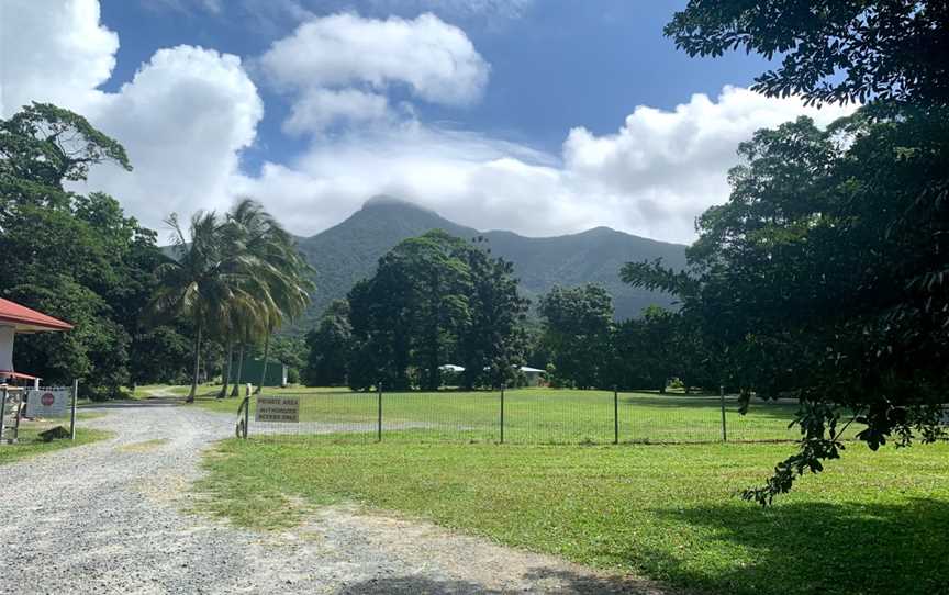 Mason's Swimming Hole, Cape Tribulation, QLD