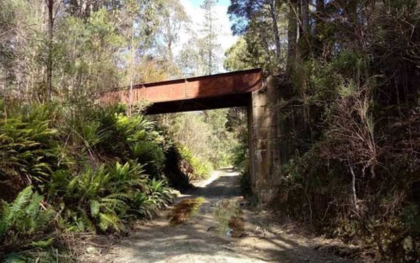 Melba Flats To Zeehan Rail Trail, Zeehan, TAS