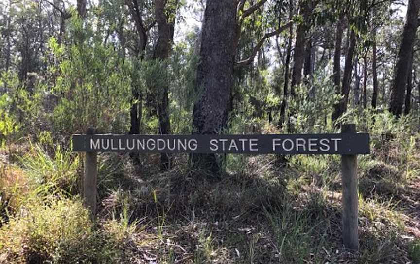 Mullungdung State Forest, Won Wron, VIC