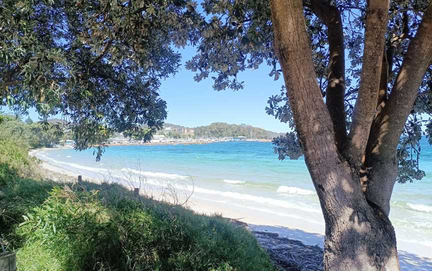 Nelson Bay Beach, Nelson Bay, NSW