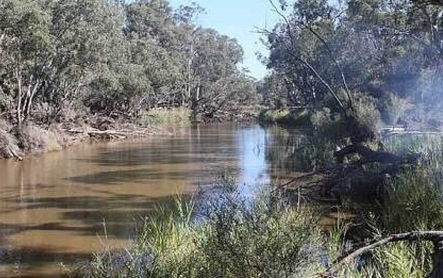 Wail State Forest, Dimboola, VIC