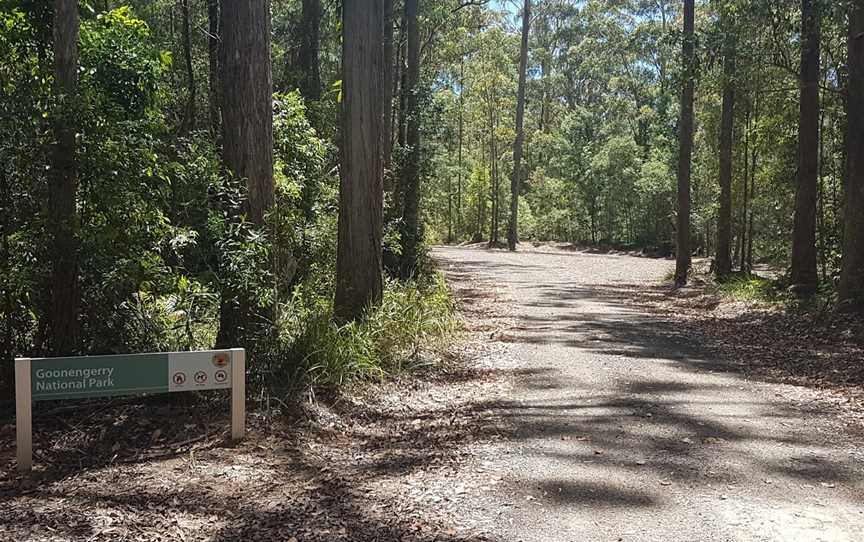 Goonengerry National Park, Mullumbimby, NSW