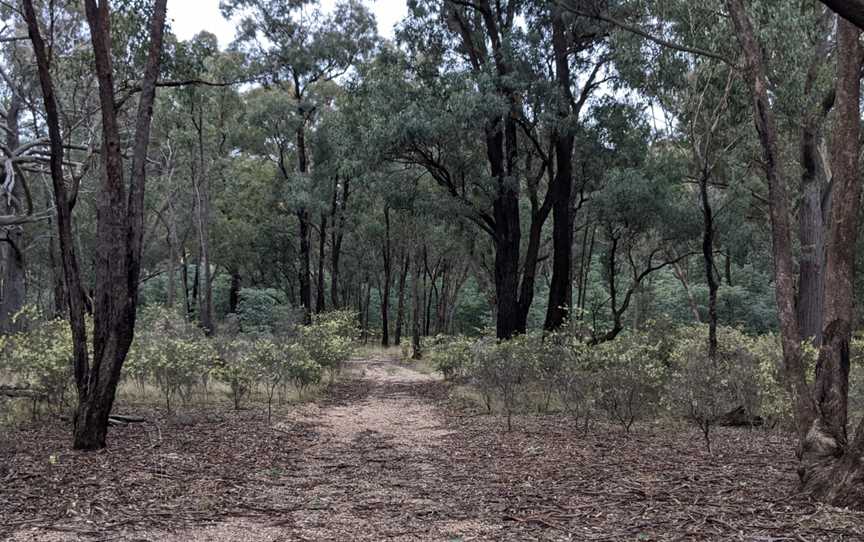 Jindalee National Park, Cootamundra, NSW