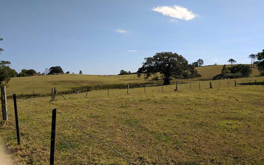 Maleny National Park, Kenilworth, QLD