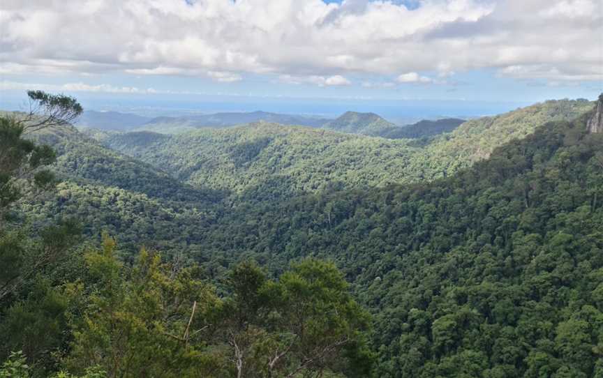 Springbrook National Park, Springbrook, QLD