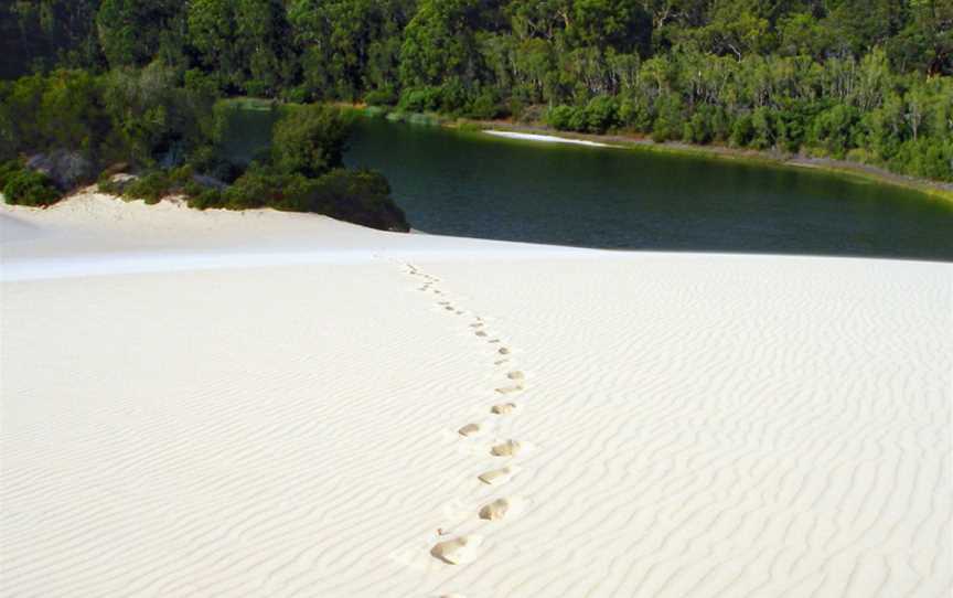 Great Sandy National Park, Cooloola, QLD
