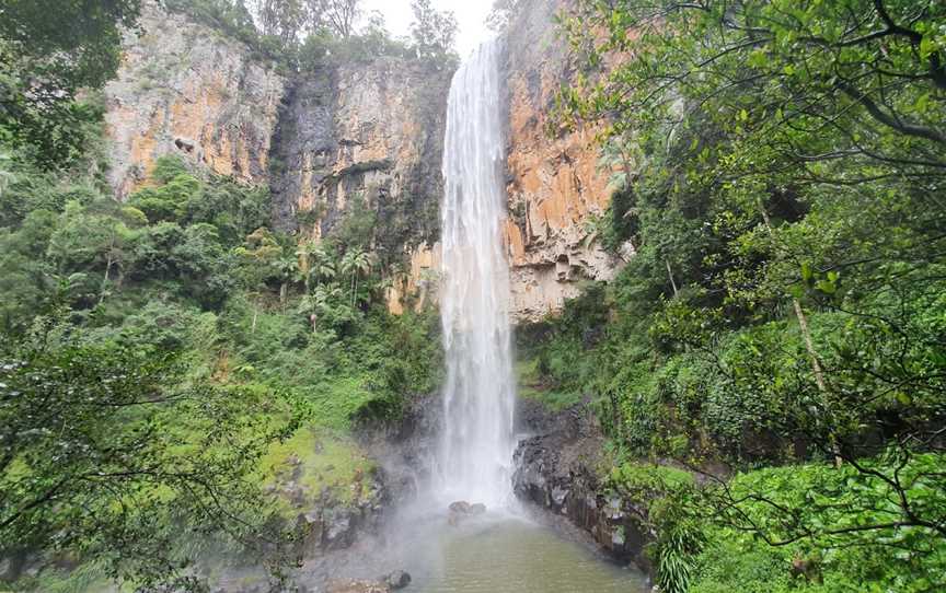 Purling Brook Falls, Springbrook National Park, Springbrook, QLD