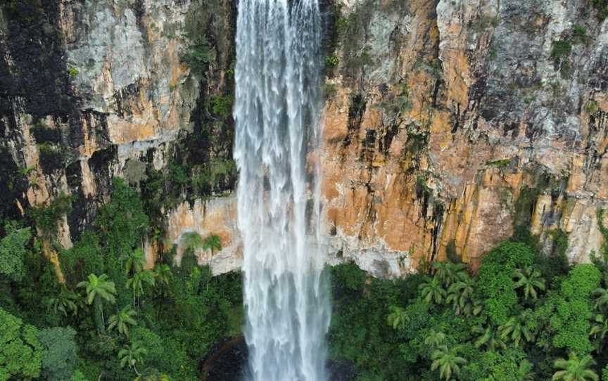 Purling Brook Falls, Springbrook National Park, Springbrook, QLD