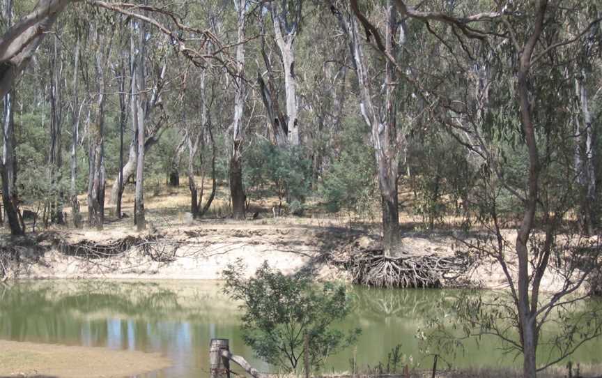 Murray Valley Regional Park, Mathoura, NSW