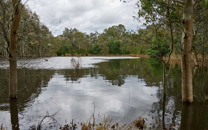 Birrarrung Park, Bulleen, VIC