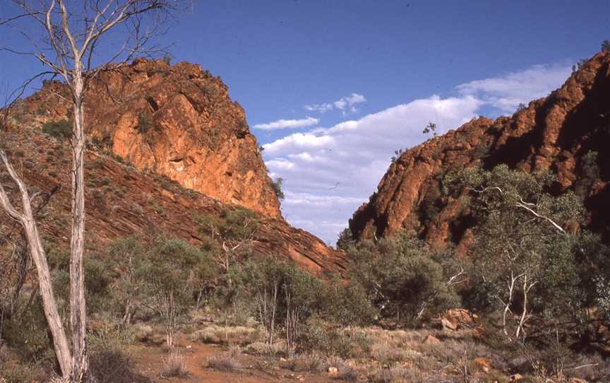 N’Dhala Gorge Nature Park, Alice Springs, NT
