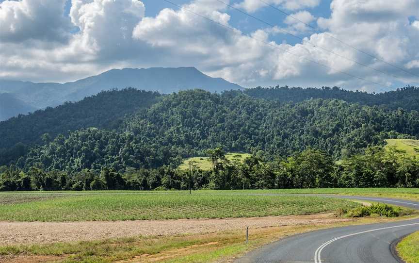 Mt. Bartle Frere, Cairns City, QLD