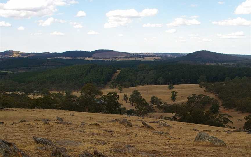 Mount Crawford Forest, Mount Crawford, SA