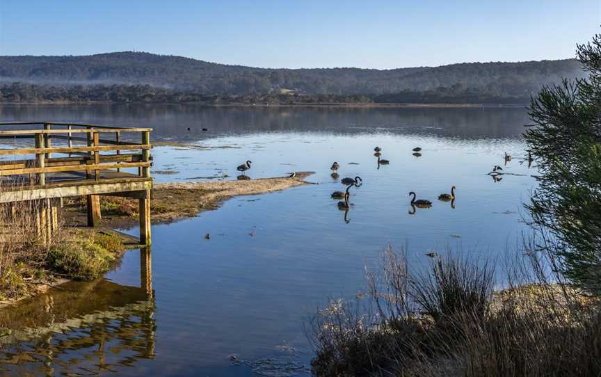 Lake Curalo Boardwalk, Eden, NSW