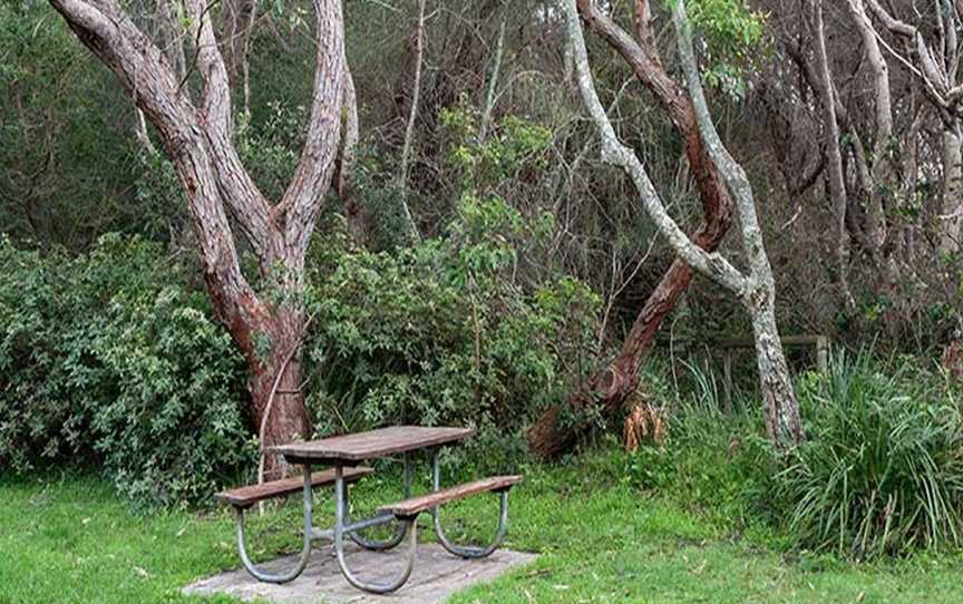 Hammerhead Point picnic area, Beecroft Peninsula, NSW