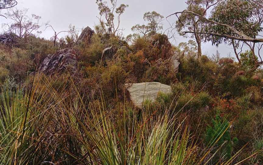 Warren Conservation Park, Mount Crawford, SA