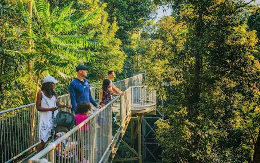 Mamu Tropical Skywalk, Innisfail, QLD