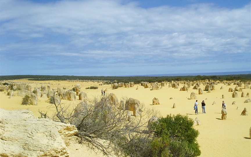 Pinnacles, Cervantes, WA