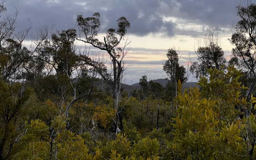 Yengo National Park, Watagan, NSW