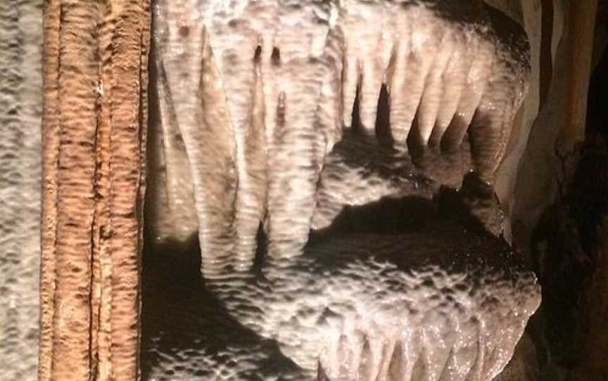Princess Margaret Rose Caves, Mumbannar, VIC