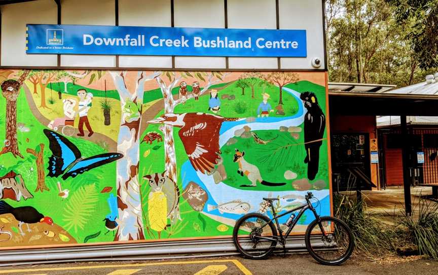 Downfall Creek Bushland Centre, Chermside West, QLD