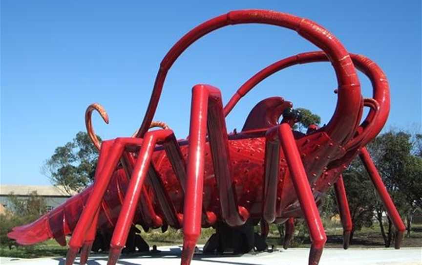 Big Western Rock Lobster, Attractions in Dongara