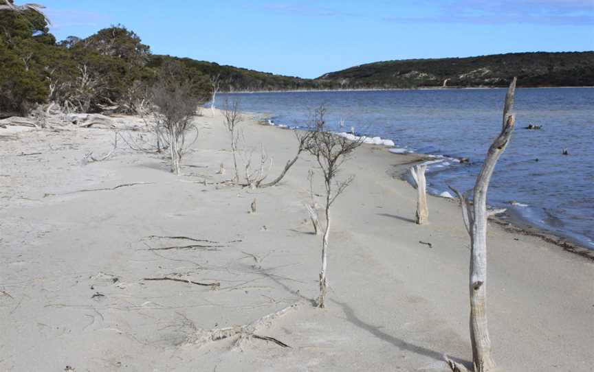 Hamersley Inlet Campground