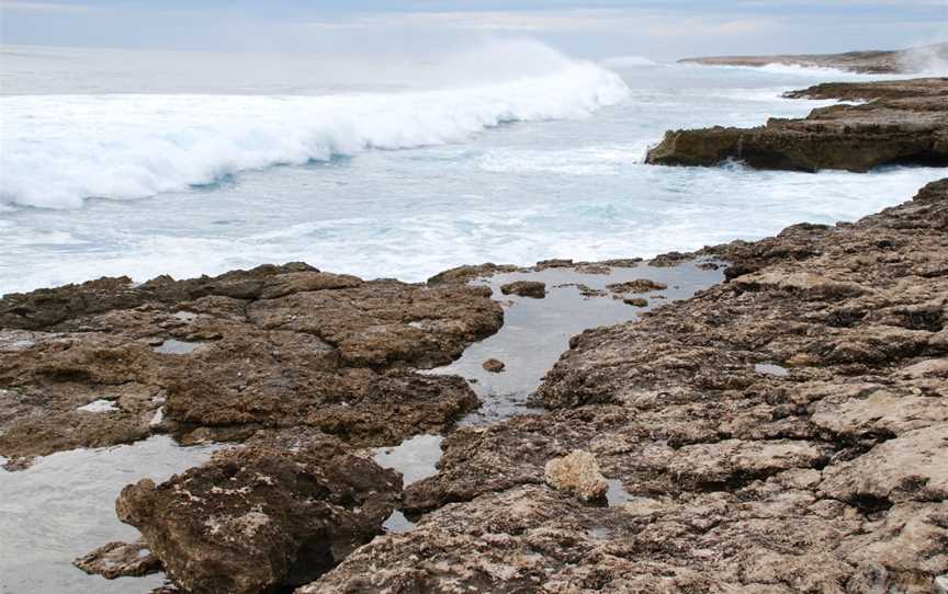 Urchin Point Campground