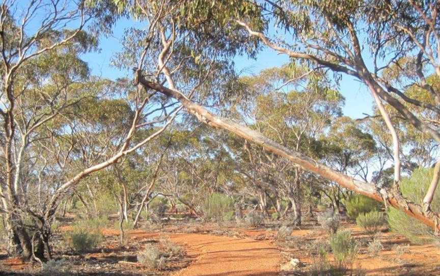 Credo Homestead Campground