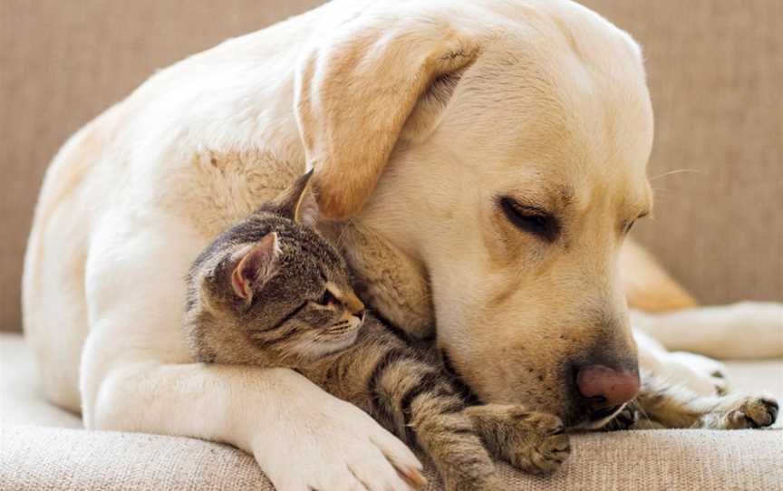 Honour Your Pet, with the most Gentle Aftercare Service.