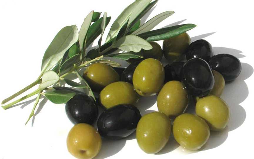 Dinninup Grove Olives, Food & Drink in Boyup Brook-town