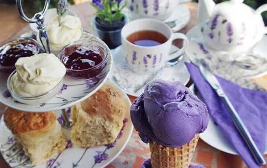 Cape Lavender Tea House, Food & Drink in Yallingup