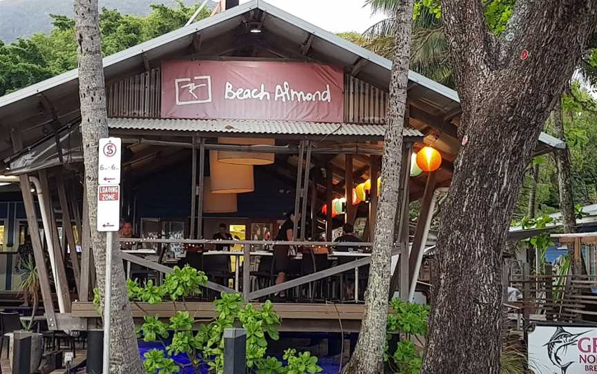 Beach Almond, Palm Cove, QLD