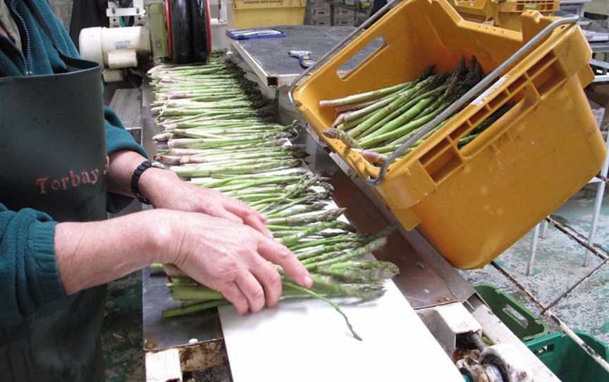 Torbay Asparagus, Food & Drink in Torbay