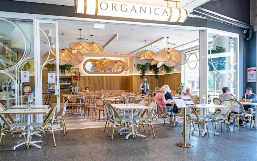 Organica - Cafe in Leichhardt, Leichhardt, NSW